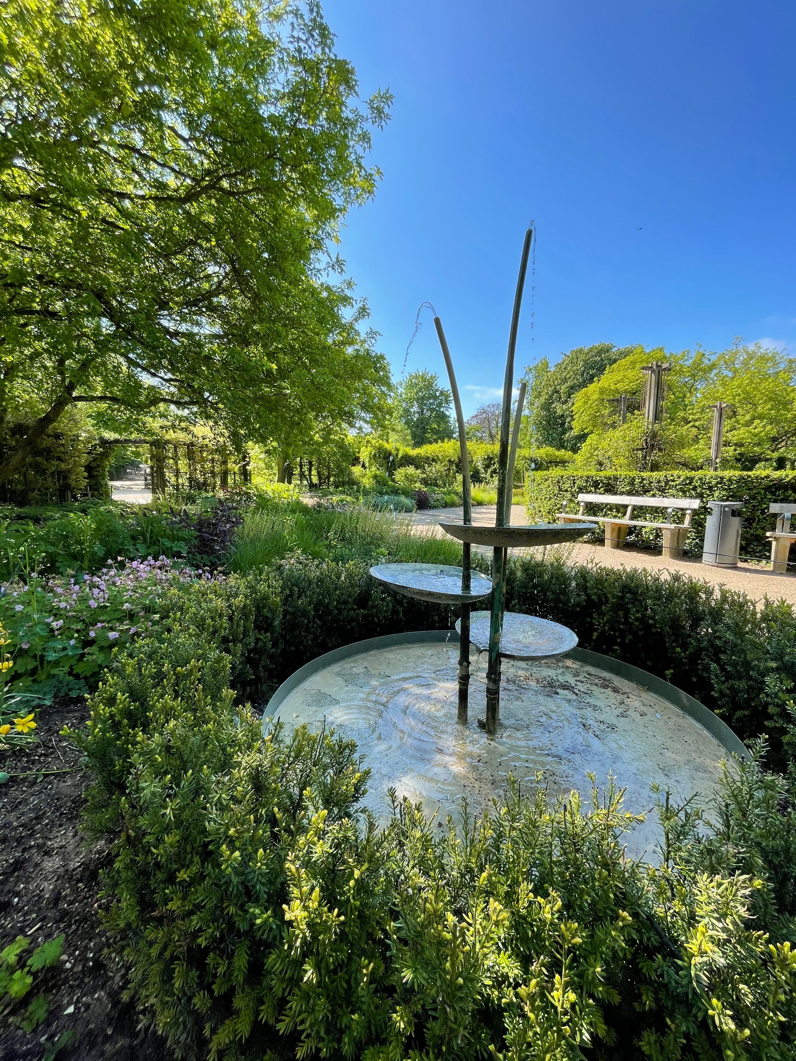 Odense-garden2.jpg