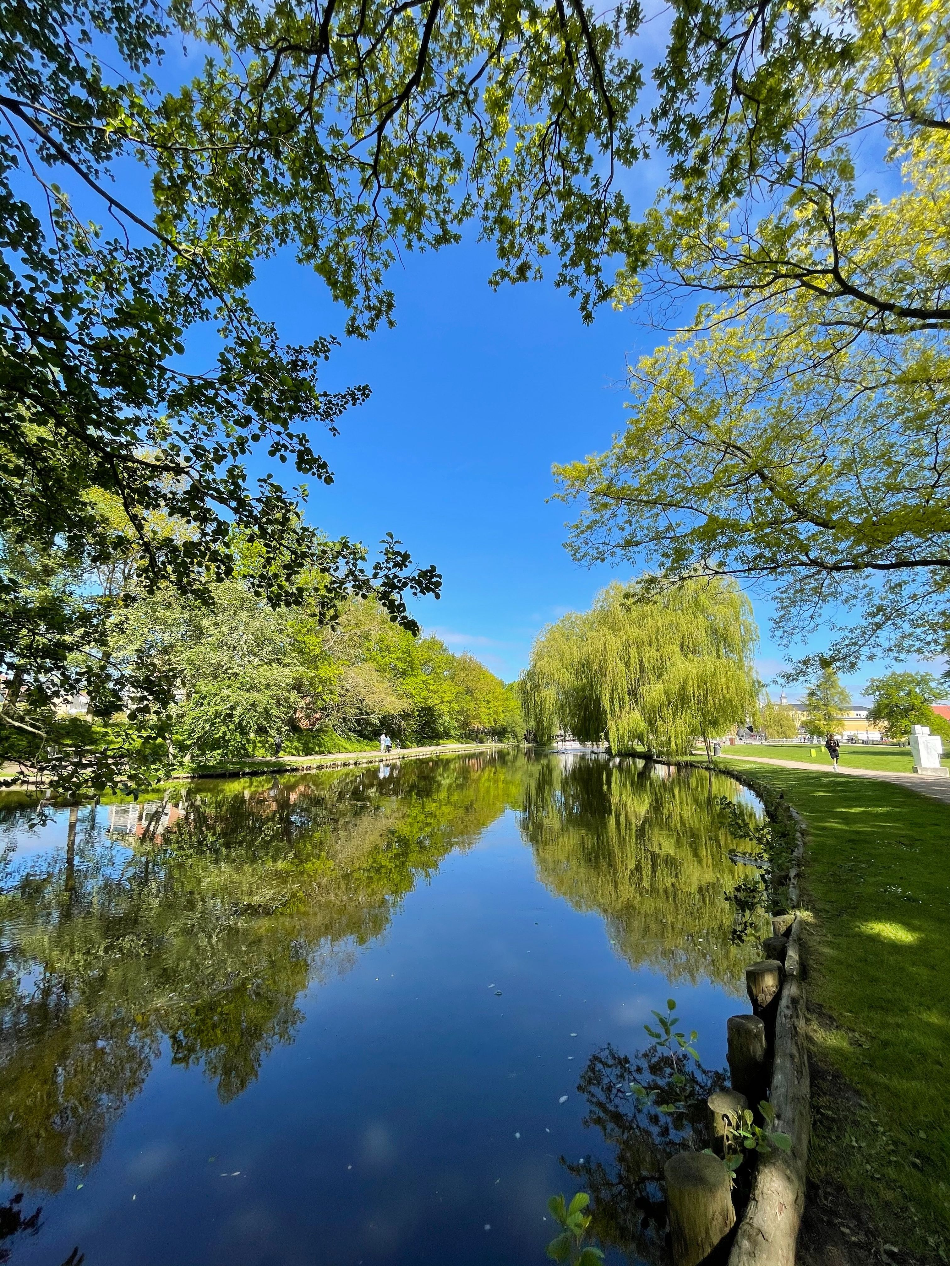 Odense-garden3.jpg